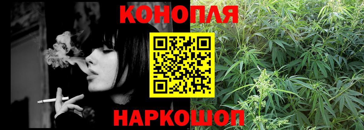 Бошки марихуана конопля  Бошки марихуана план  Волгоград  Вход с VPN  Каннабис гибрид  Бошки марихуана SATIVA & INDICA 