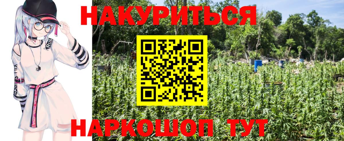 Каннабис SATIVA & INDICA Волгоград